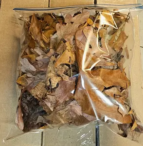 Leaf Litter- 1 gallon bag