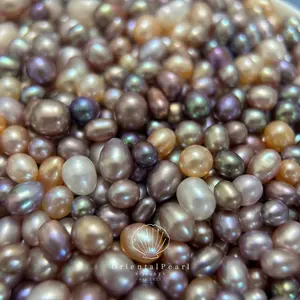 OPCO-【Seedless Pearls+Design+Brooch+Fast Shipping】(Min 20 pcs Seedless Pearls) (Open in Live) Freshwater Seedless Pearls Mixed Multi Colors Genuine Freshwater Pearls