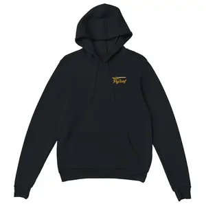 San Diego Vintage Retro Regional Jet Hoodie