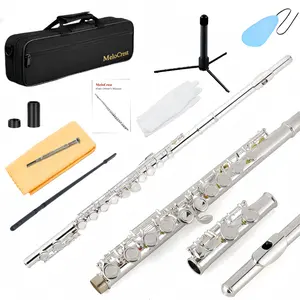 Flutes - Closed Hole C Flute For Beginners, 16-Key Flute with a Carrying Case, Stand, and Cleaning Kit, Tuning Rod, Musical Instrument for Kids, Silver