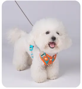 No-Pull Dog Harness, Leash and Car Safety Leash Set, Front Clip Lightweight Mesh Vest for Small and Medium Dogs