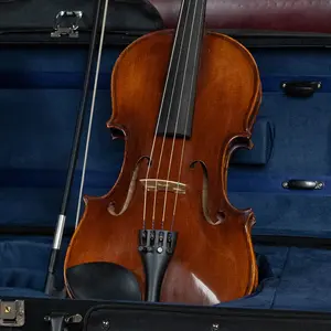 Eastman Spruce/Maple 4/4 Sized Andreas Eastman Stradivari Violin VLF2 Kit #3931