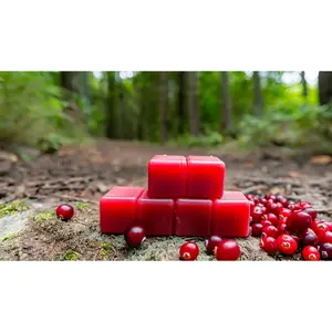 azure coast wax melts pack of 4