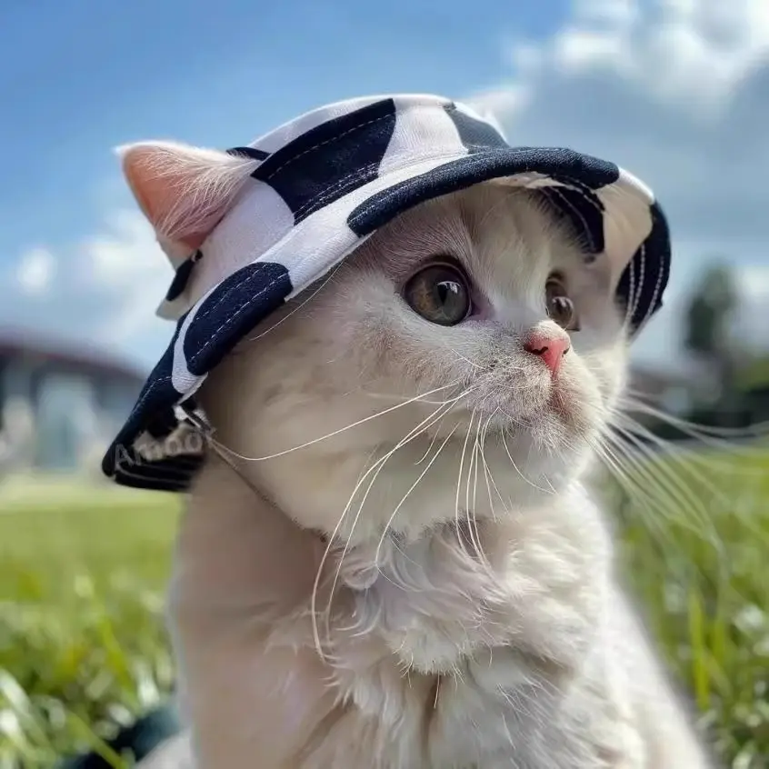 Cute Ears Out Pet Hat, Cat Dog Kitty Hats, Sun Protection Fisherman Cap, Adorable Animal Headwear, Stylish Outdoor Outside Accessory