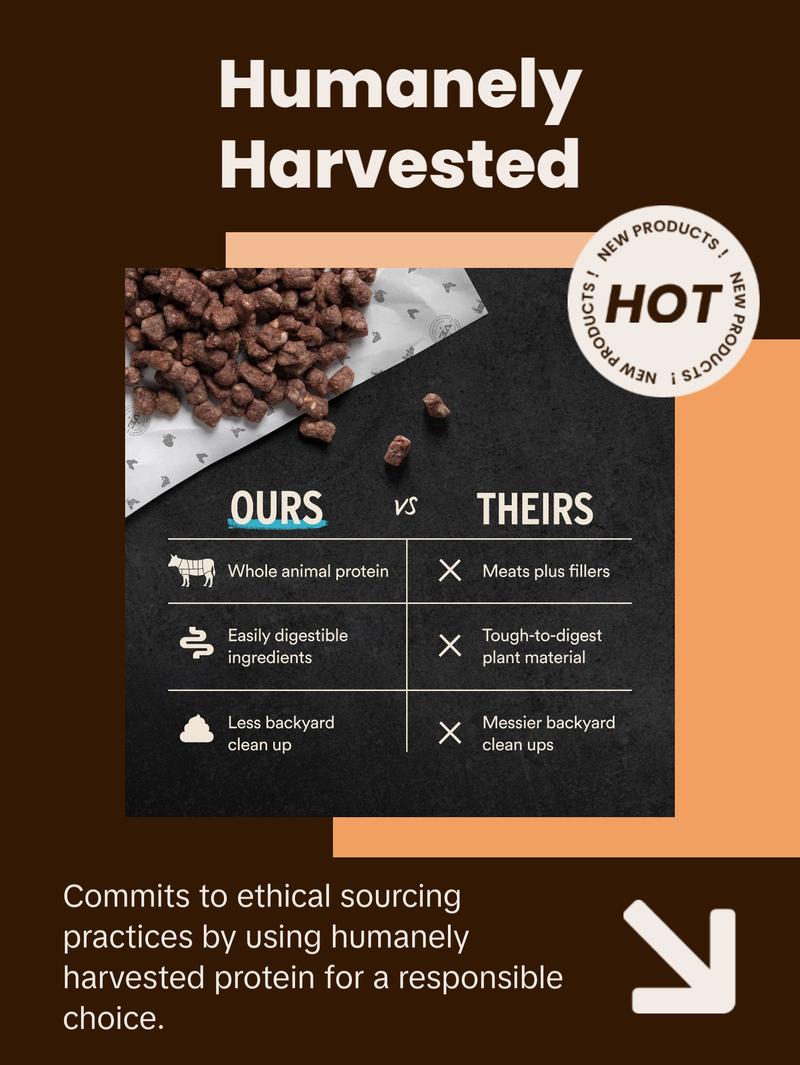 Vital Essentials Freeze-Dried Raw Pork Entree Cat Food Mini Nibs