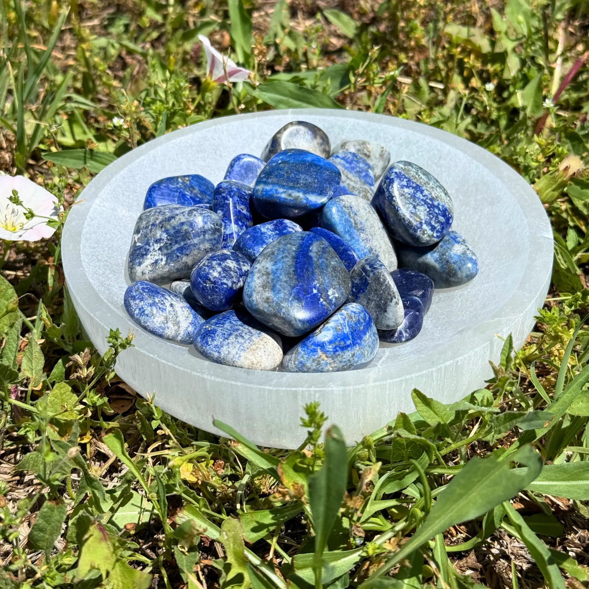 Down To Earth Lapis Lazuli Tumbled Crystal for Intuition Third Eye Truth Wisdom Spiritual Growth Polished 0.75-1.5" Enhances Self-Expression & Clarity
