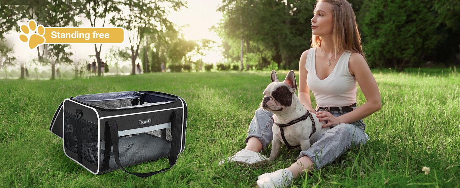 Lekereise Top-Expandable Pet Carrier 18x13x9.5 Inch Southwest Frontier Airline Approved Soft Sided Underseat to 15lbs Travel Carriers for Small Cats Dogs with Locking Safety Zippers Anti-Scratch Mesh