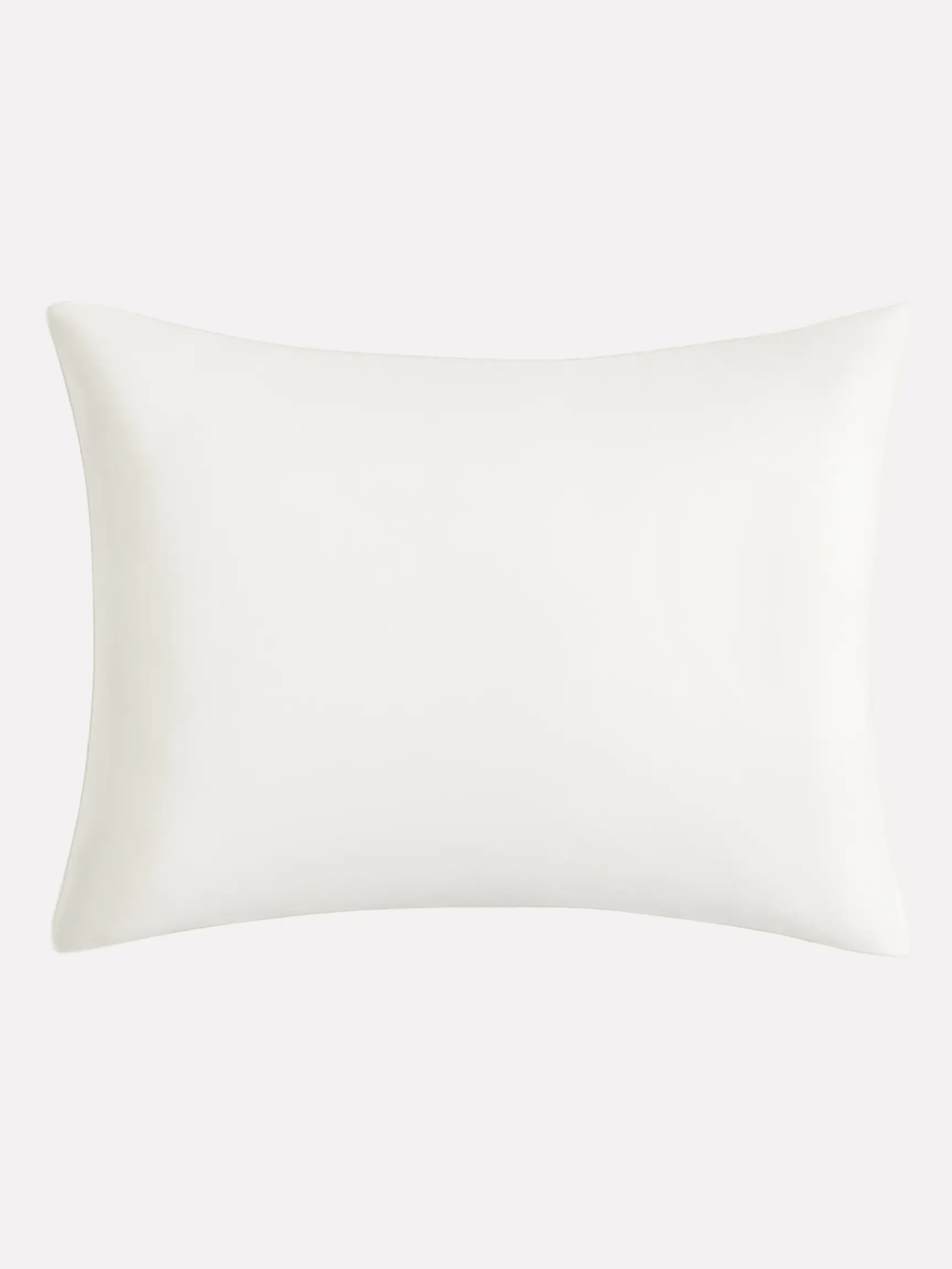SILK PILLOW WITH SILK SHELL SILK PILLOW WITH SILK SHELL