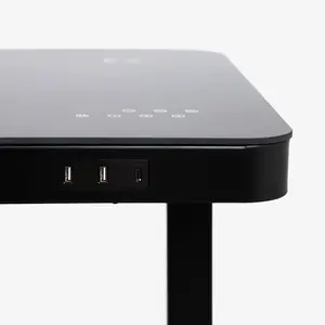 Sayoasis Modern Touchscreen Standing Desk