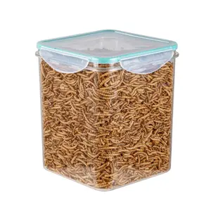 Supply export grade dried breadworms hamster snacks bird snacks dried yellow mealworms small pet favorite feed hamster grain