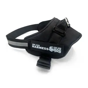 Big Ass Harness