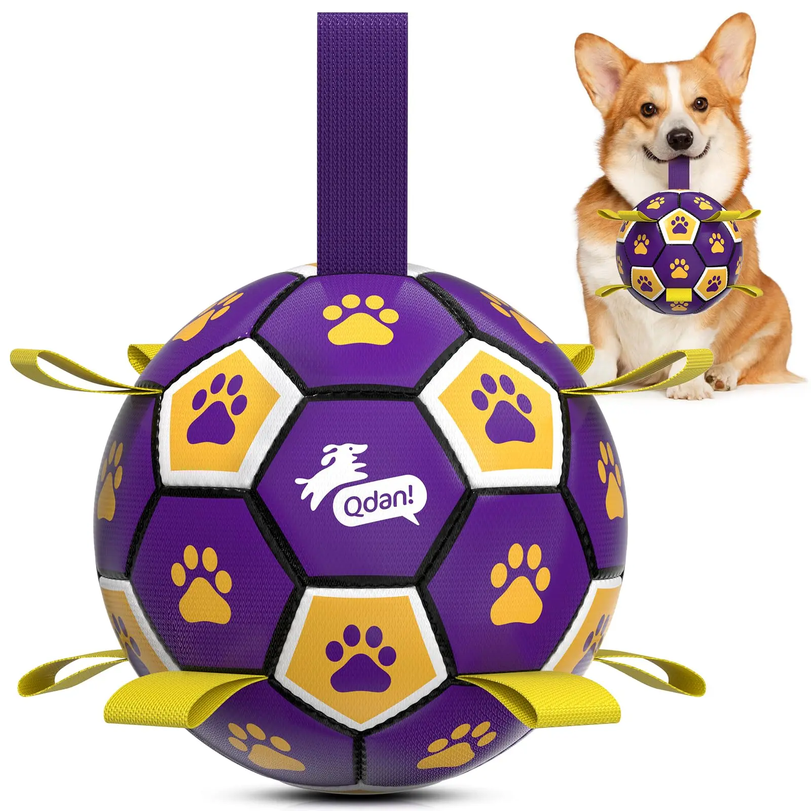 Purple Yellow