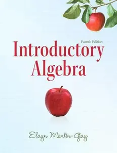 USED-Introductory Algebra (Martin-Gay Developmental Math Series) by Elayn El Martin-Gay (Paperback)