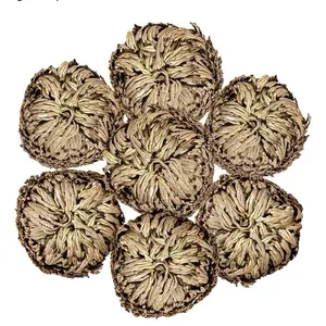 Rose of Jericho - Resurrection Plant for Peace Prosperity & Protection Against Negative Energy Home Decor