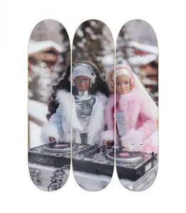 FINAL SALE - DJ BASH 1 SKATEBOARD WALL ART DECOR