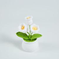 Lily of the valley-white