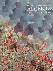 USED Book - Introductory & Intermediate Algebra for College Students by Robert Blitzer (Hardcover) - english