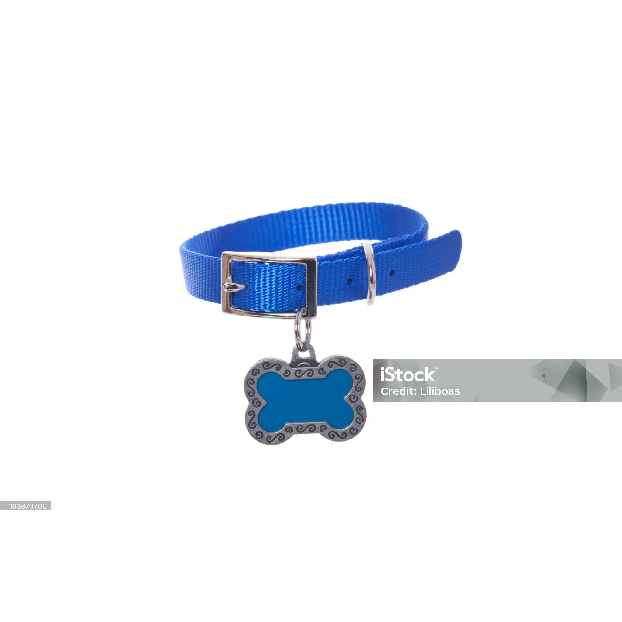 Pet collar for Platform promotion