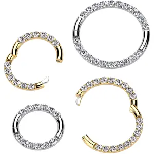16 Gauge Implant Grade Titanium CZ Double Row Hoop Segment Ring