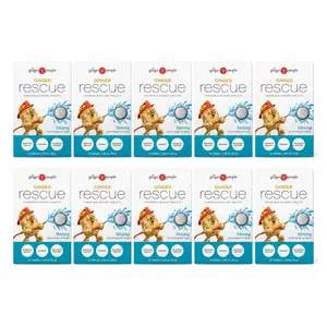Ginger Rescue Strong Ginger Ginger Chewable Tablets by The Ginger People Drug Free 5.5 oz