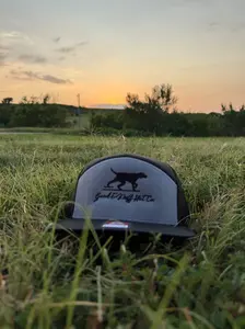 Grey Point and Shoot