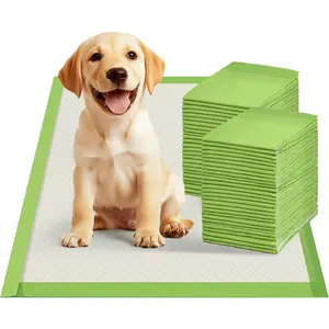 Dog Pee Pads Rugular , Thicker ECO Green Small Disposable Puppy Training Pads Super Absorbent Full Edge-Wrapping Pad for Dogs, Puppies, Doggies, Cats