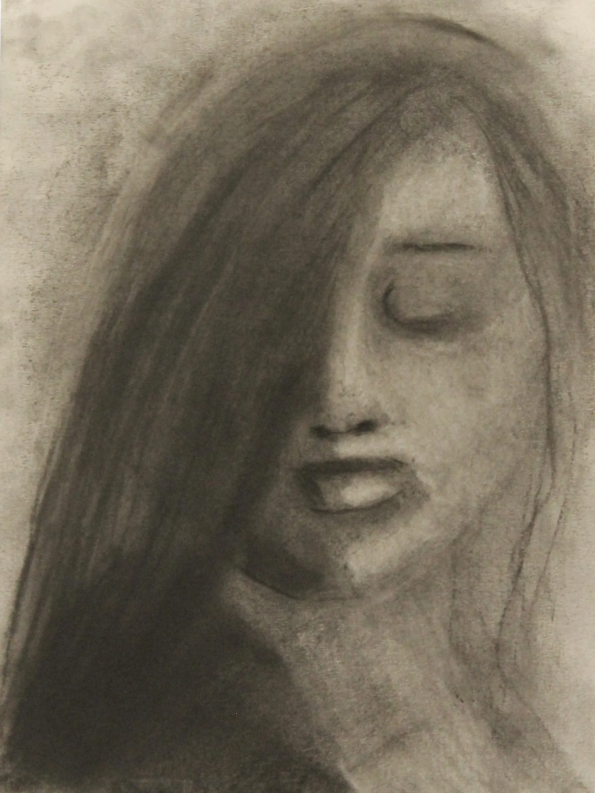 Commission Custom Artwork: Charcoal Drawings, Pastel Drawings, and Acrylic Paintings