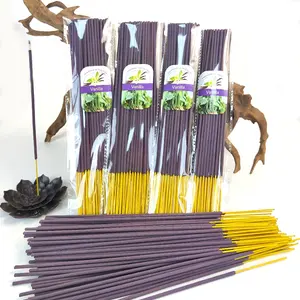 Vanilla Long 25.4cm Incense Sticks, Warm Wooden Scented Herbal Fragrance, Traditional Bamboo Stick Incense Rods, Ideal for Indoor Atmosphere Enhancement