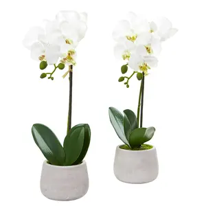 Phalaenopsis Orchid Artificial Arrangement (Set of 2) Phalaenopsis Orchid Artificial Arrangement (Set of 2)