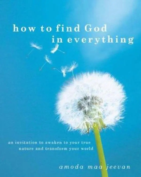 USED-How to Find God in Everything: An Invitation to Awaken your true Nature and Transform your World by Amoda Maa Jeevan (Hardcover)