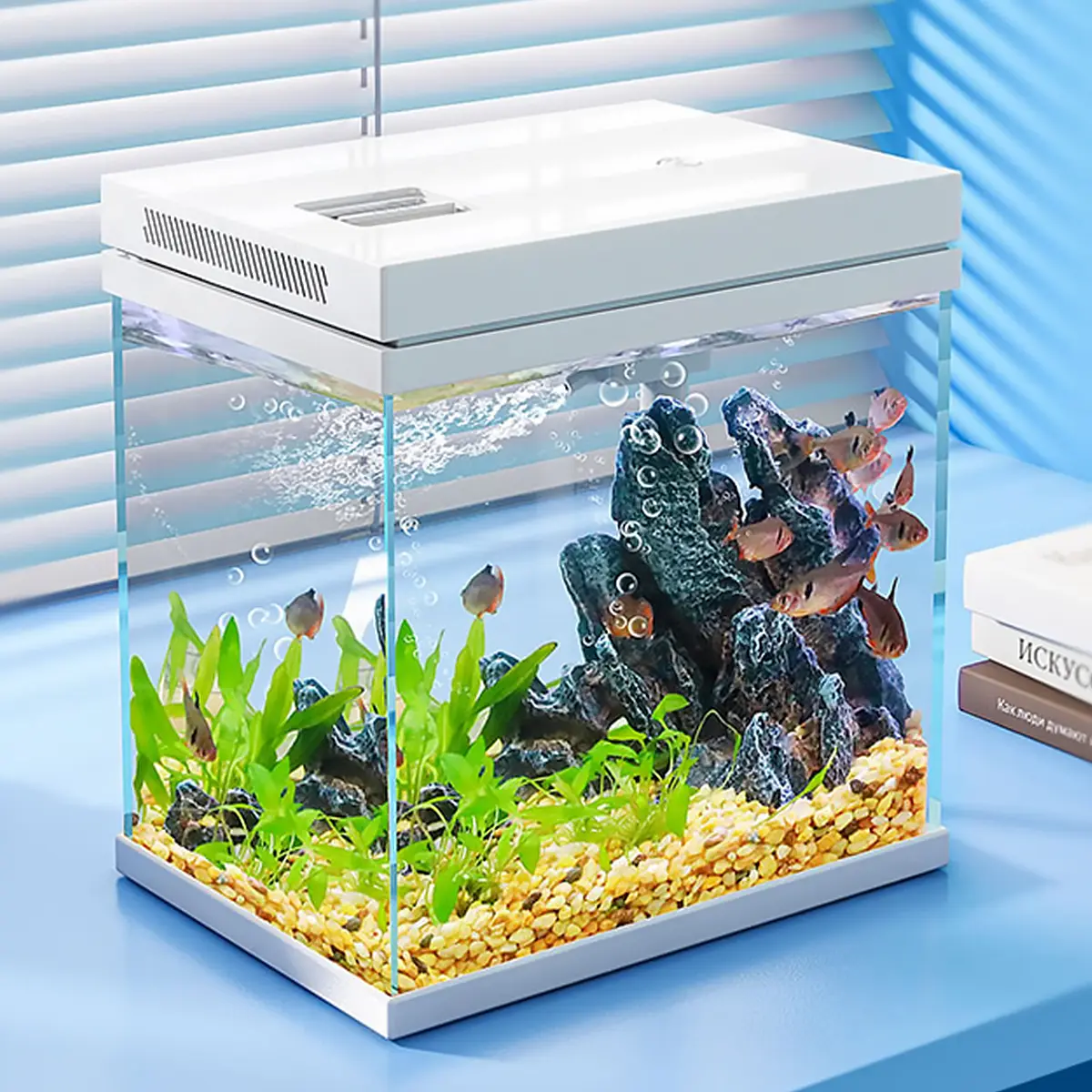 Aquarium Starter Kit Nano Glass Fish Tank with LED Light and Complete ...