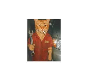 Mechanic Cat