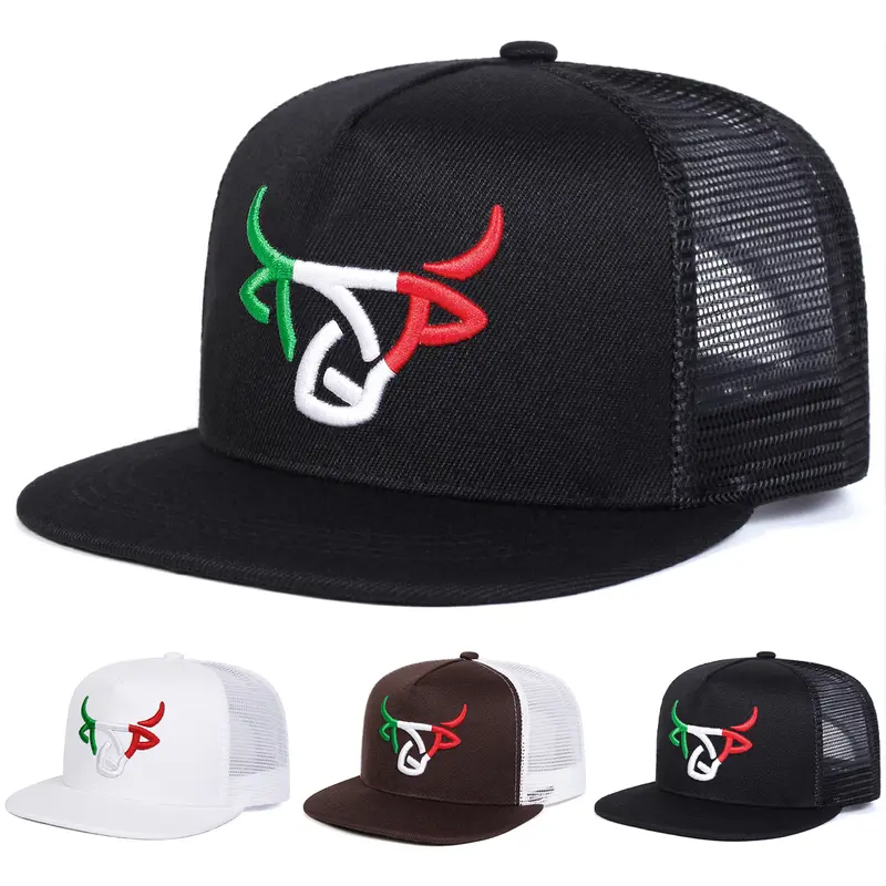 native hat - TikTok Shop display picture 1