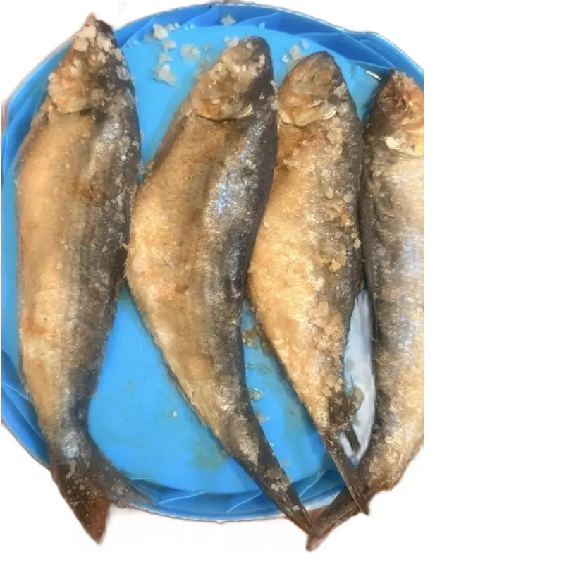 Aransèl - Fresh Fish Pack of 4 - Perfect for Cooking and Enjoying - High-Quality Fish for Your Meals