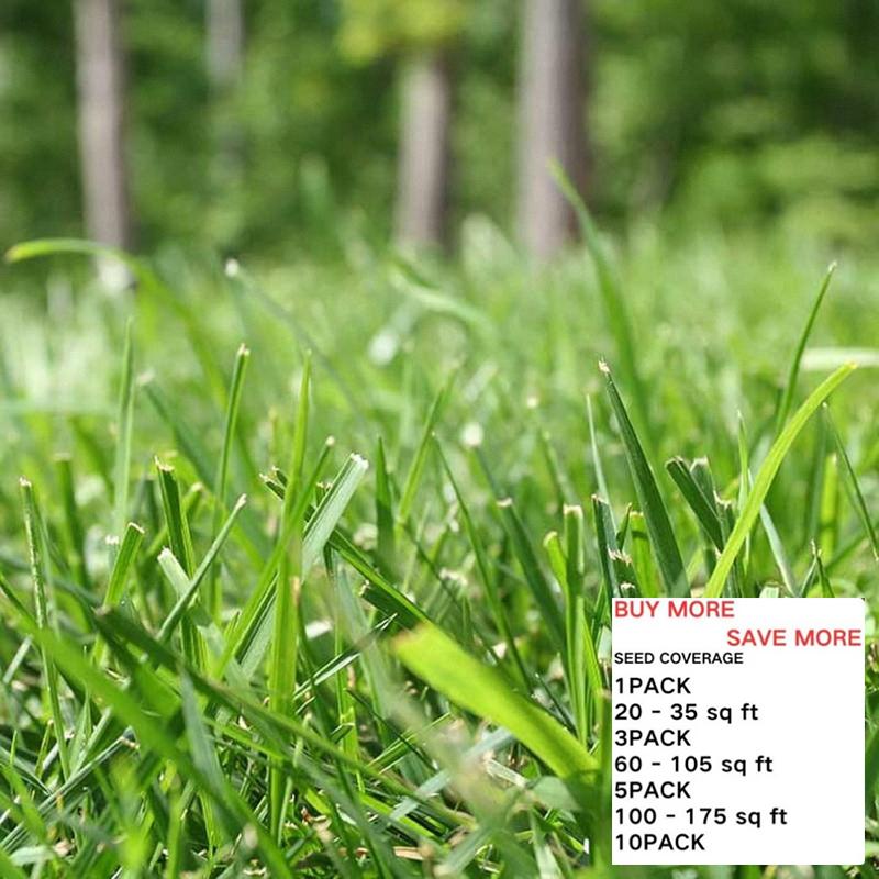 3000+ Pcs Grass Seeds for Thick and Green Lawn Coverage