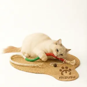 Cat Toys Chew Ropes 3Pcs With One Pack of Catnip For Extended Play, Safe Teeth Cleaning Toy for Indoor Kittens, Interactive Kitty Toys