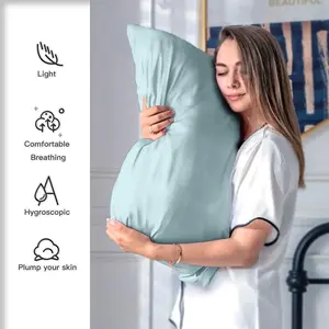 Mulberry Silk Pillowcase 2 Pack – Cooling Satin Pillow Cases for Hair & Skin with Hidden Zipper | Soft Smooth Anti-Frizz Pillow Covers (Haze Blue, Standard 20x26)