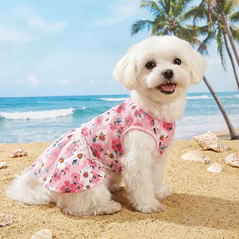 dress for dogs - TikTok Shop dress for dogs - TikTok Shop
