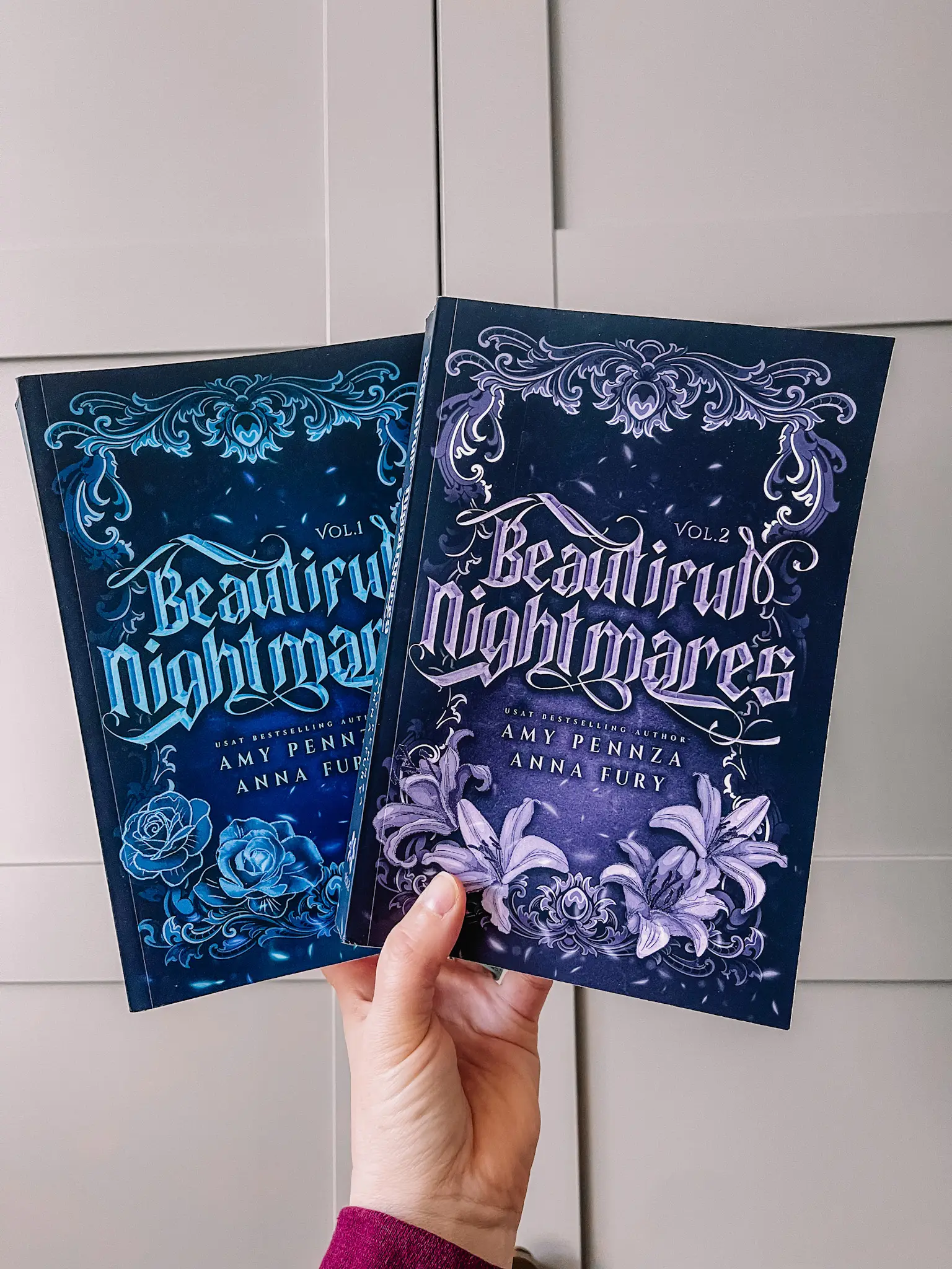 Beautiful Nightmares Gay Fairytale Retellings - 5 Book Omnibus Duet - Includes Steamy Art Dark Romance Fairy Tales Vol 1 & 2 Signed Editions