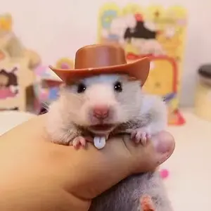 Hamster Cowboy Hat, Mini Plastic Western Party Hat for Small Pets, Durable Headwear for Hamsters & Other Tiny Animals