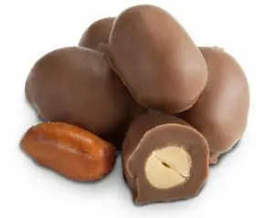Chocolate Covered Peanuts
