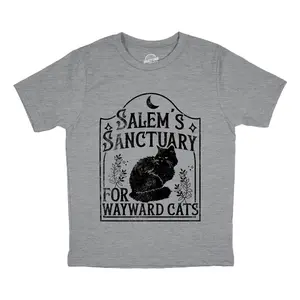 Youth Funny T Shirts Salems Sanctuary for Wayward Cats Sarcastic Halloween Kitten Graphic Novelty Tee For Kids Funny T Shirts Halloween Tops for Kid Funny Cat Short Sleeve Novelty Tees for Kids Dark Grey