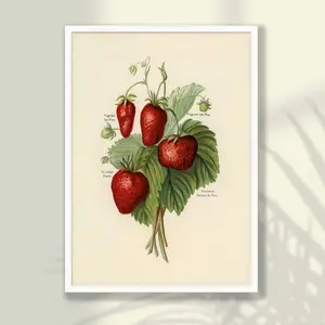 Vintage Strawberry Poster – Botanical Kitchen Wall Art, Fruit Print, Strawberry Option, Unframe