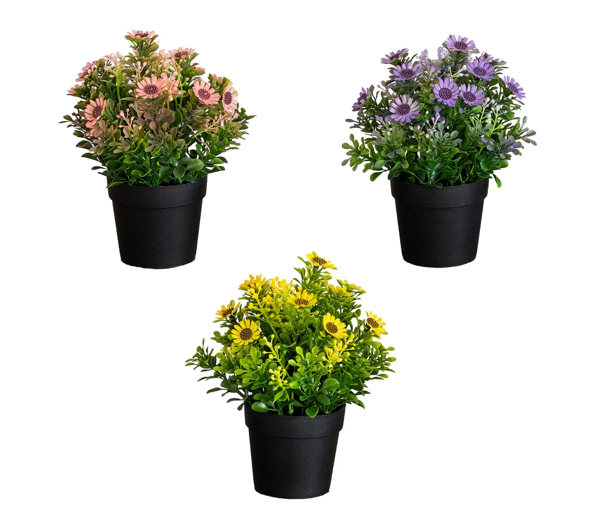 Artificial Daisy Flower in Pot  - Set of 3 by Nearly Natural
