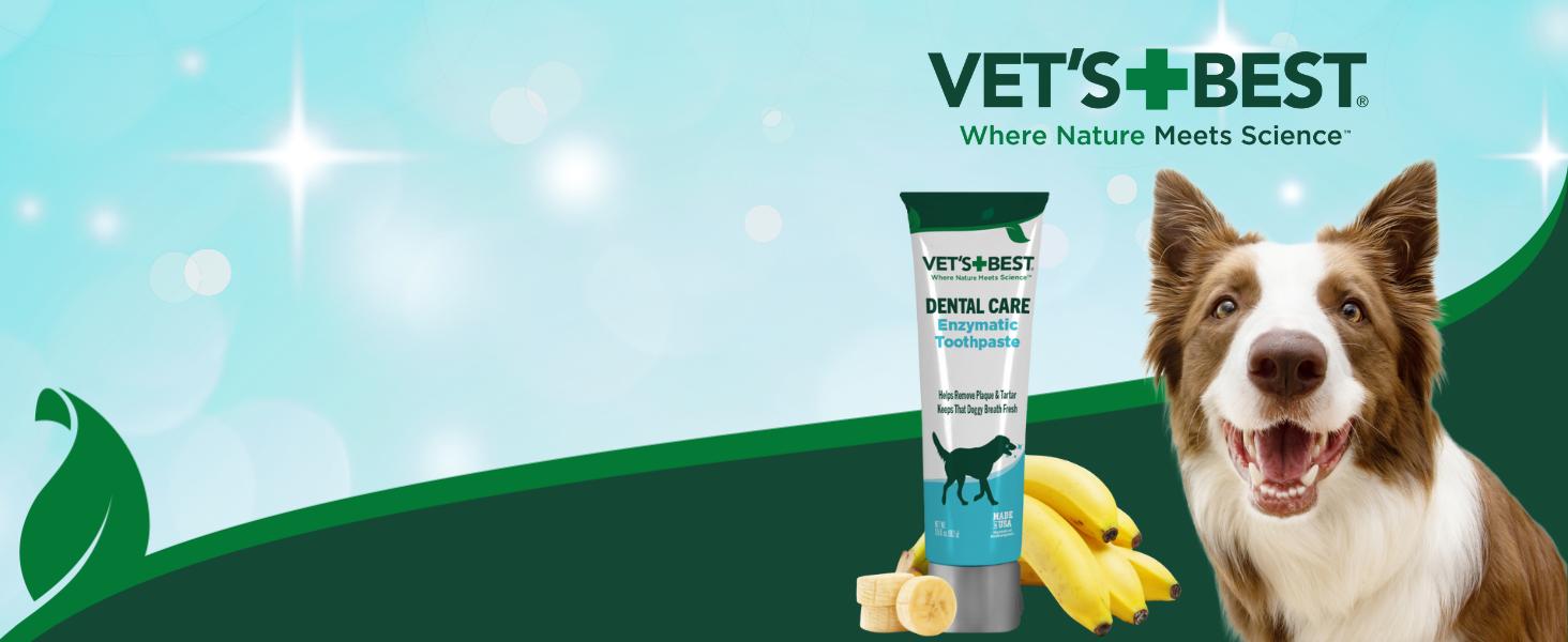 Vet’s Best Enzymatic Dog Toothpaste – Vet Formulated Dental Gel for Teeth Cleaning, Fresh Breath, Tartar Control, Plaque Remover & Oral Hygiene for Dogs, 3.5 oz