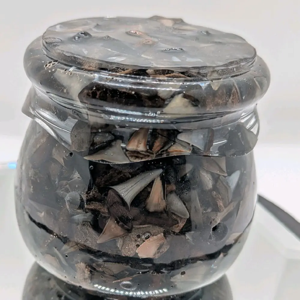 Shark Tooth-Filled Resin honey jar with screw on lid, Decorative Storage Container for Home Desktop Display