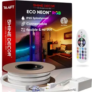 Neon LED Strip Light Waterproof Multicolor Change Flexible RGB Neon Rope Lights with Remote Control for Indoor Outdoor