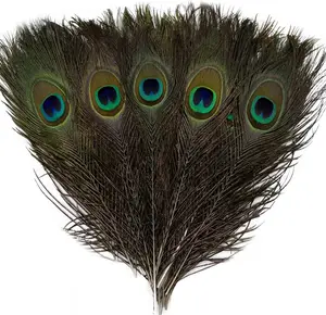 20-PCS Real Natural Peacock Eye Feathers 10-12 inch for DIY Craft, Wedding and Holiday Decorations