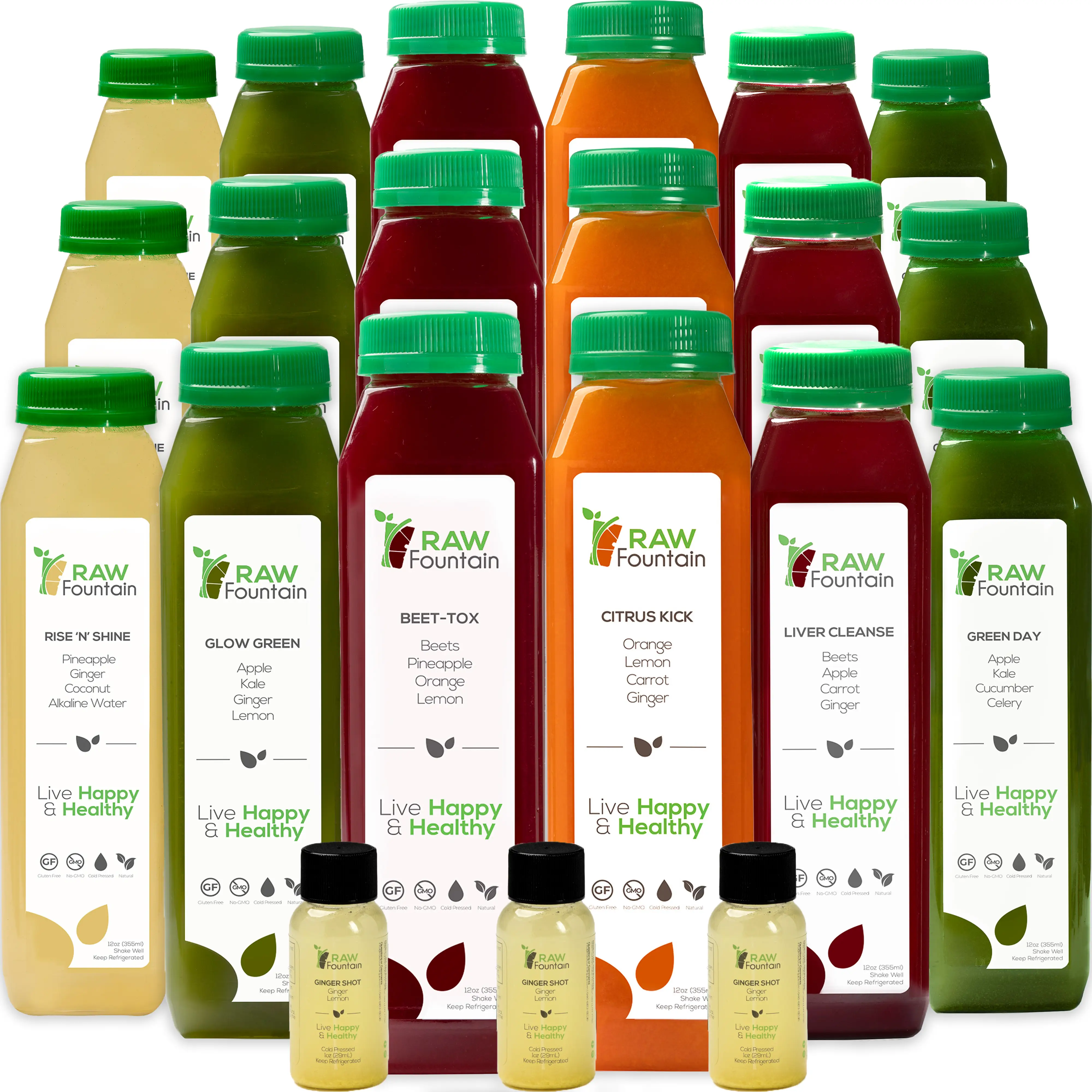 Raw Fountain 3 Day Juice Cleanse Detox - 18 Bottles of Cold Pressed Juices & 3 Ginger Shots - All Natural, No Gluten, No Wheat, No Artificial Flavors