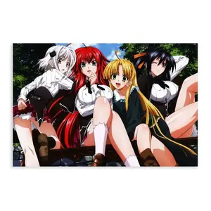 High School DxD Anime Poster 29 bedroom canvas posters, hall wall art, bathroom canvas posters, home poster decoration